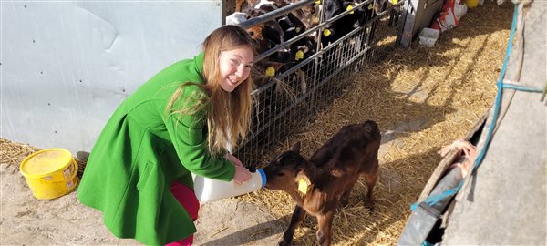 come and feed a calf